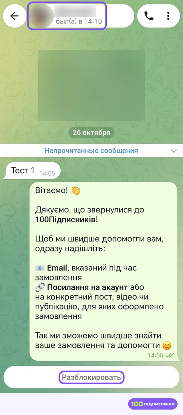Тот же чат у того, кто заблокировал: фото и время активности на месте, внизу кнопка Разблокировать