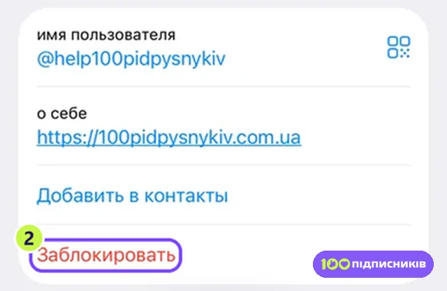 Профиль в Telegram на iPhone с кнопкой Заблокировать